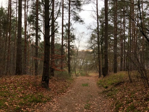 Von Lindow nach Rheinsberg