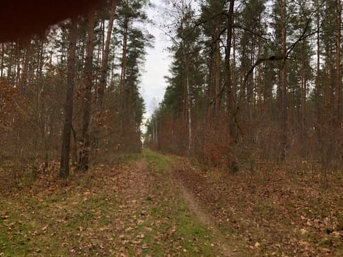 Von Lindow nach Rheinsberg
