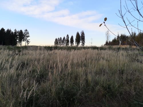 Rund um die Herbringhauser Talsperre