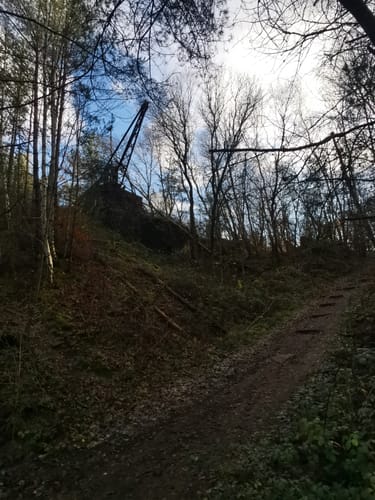 87