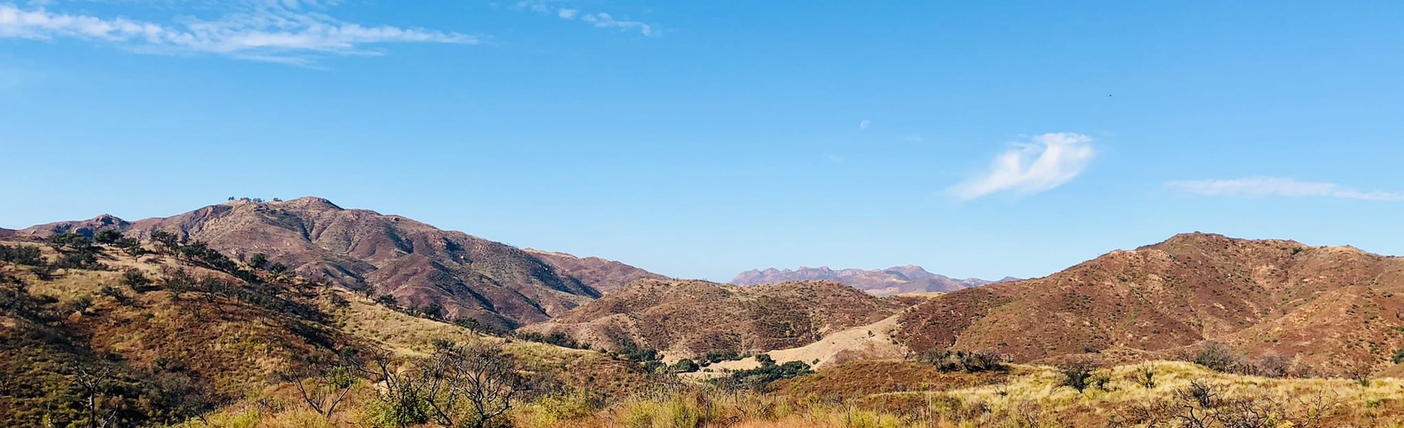 Latigo Canyon to Tapia Park 339 Reviews, Map California AllTrails