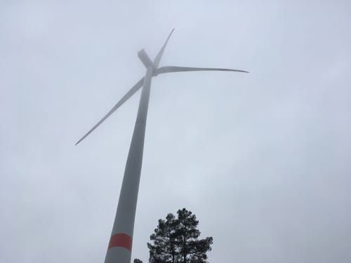 Runde bei Grebenau