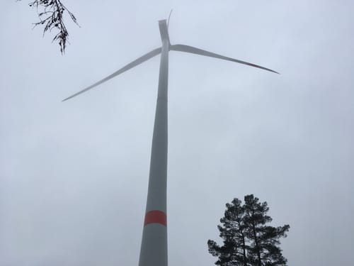 Runde bei Grebenau