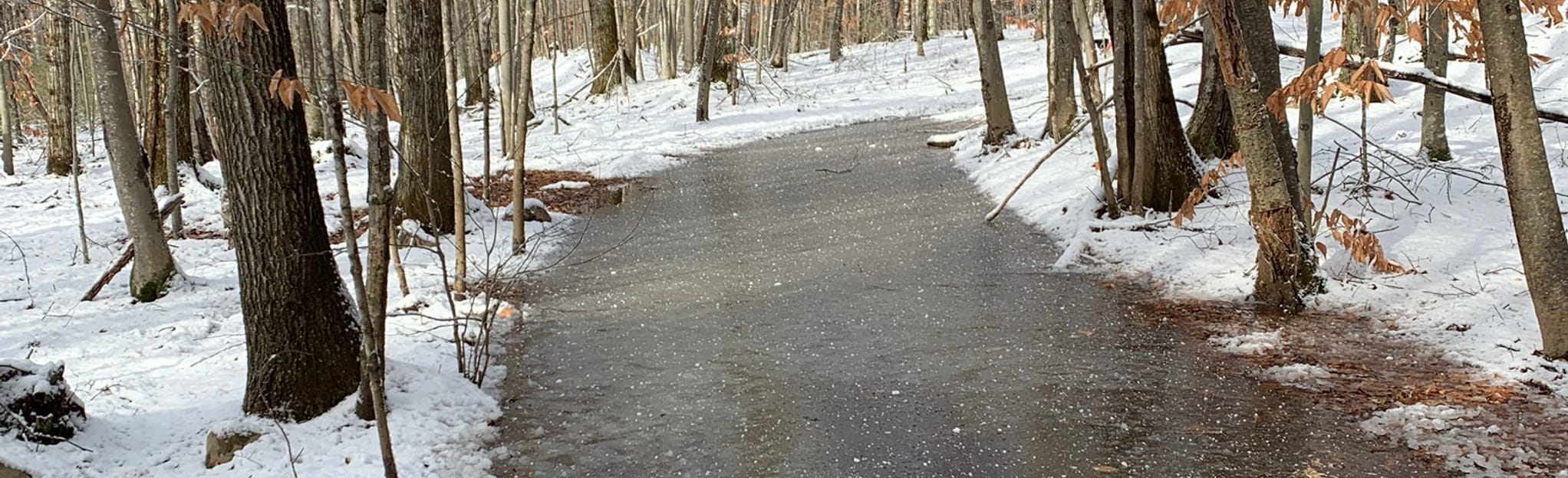 YKWD Silver Trail Loop, Maine 33 Reviews, Map AllTrails