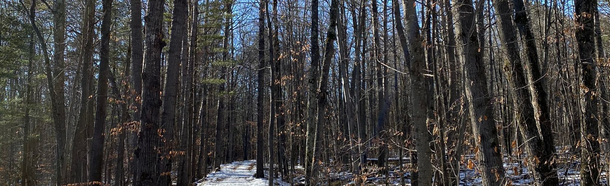 Wolf Creek, Cartway and Skunk Cabbage Loop, Minnesota 48 Reviews, Map