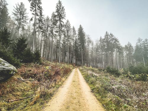 Von Schiederhof auf dem Naturweg Kobelberg