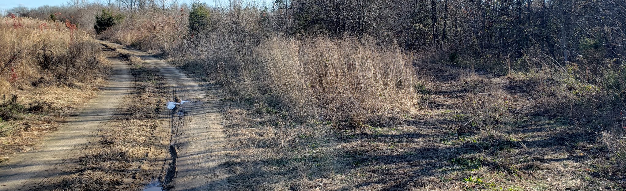 Raccoon Creek WMA Trails, New Jersey 6 Reviews, Map AllTrails