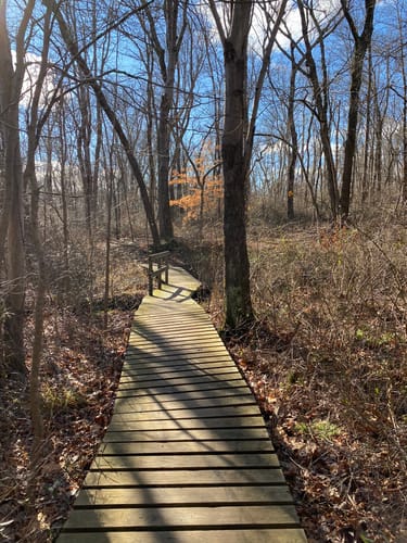 Watchung Reservation Hiking Trails Best 10 Trails In Watchung Reservation | Alltrails