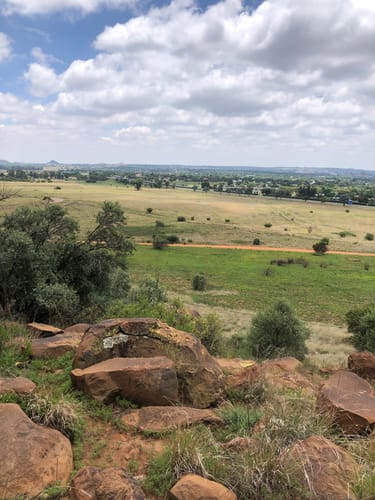 EXPLORE BLOEMFONTEIN FREE STATE SOUTH AFRICA visual data 5