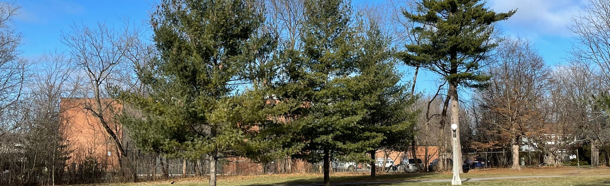 Hampton Park, Ontario, Canada 49 Reviews, Map AllTrails