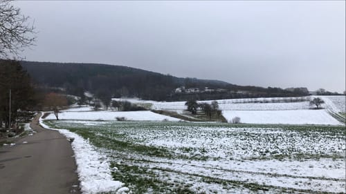 Brandorfer Forst Rundweg