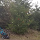 Tokul East Loop, Washington - 64 Reviews, Map | AllTrails