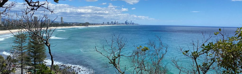 are dogs allowed in burleigh national park