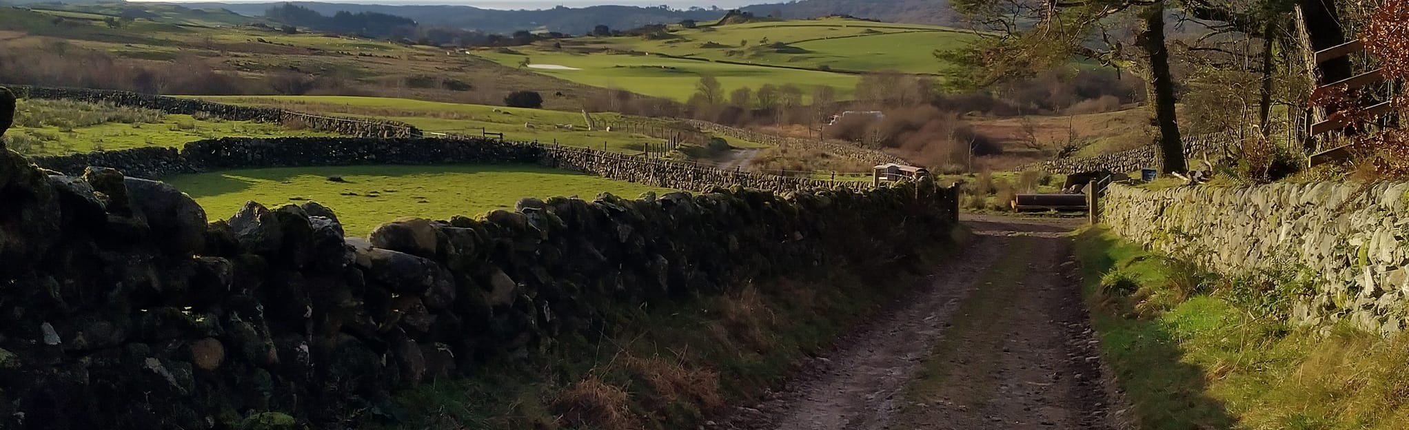 AllTrails Laurieston Road Circular 1 Reviews, Map Dumfries and