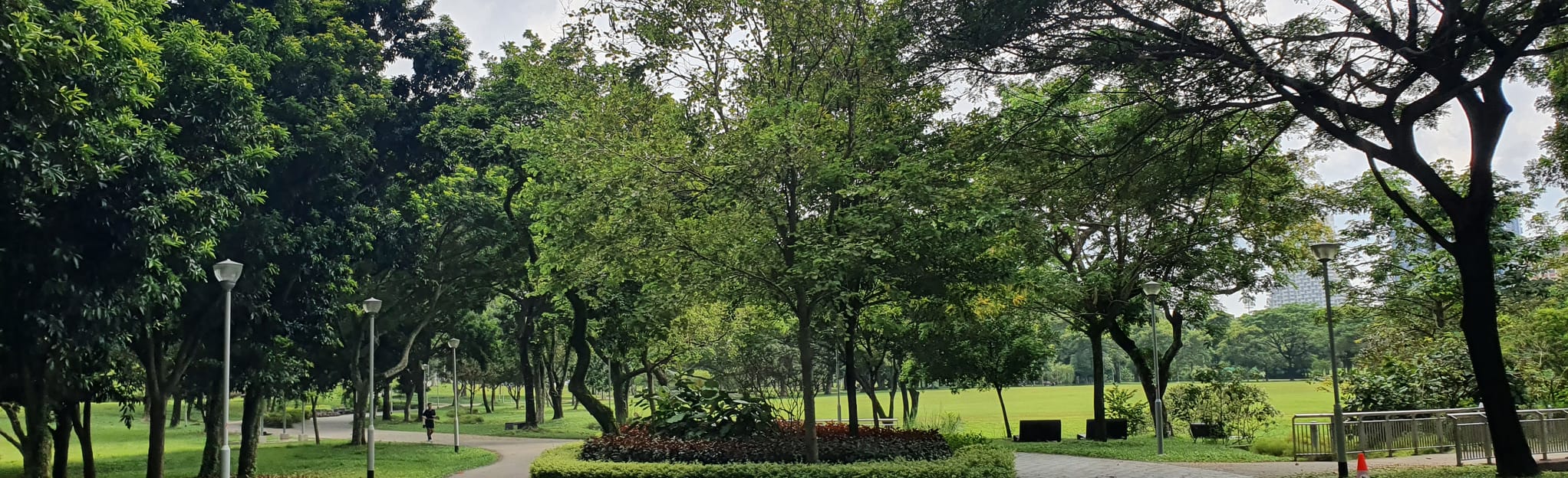 Bishan Park Loop 201 bilder Sentral region, Singapore AllTrails