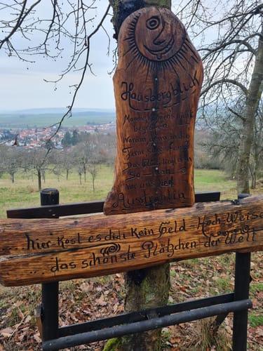 Hochtaunus: Der rote Milan am Hausberg