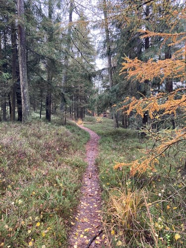 Stubenberg Tour 7 - Rund um die Pfarrkirche und auf nach Bertenöd