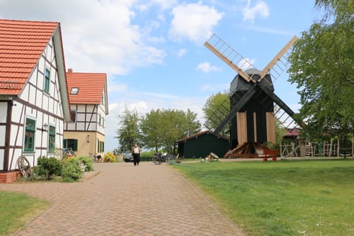 Kirschlauf - Hauptstrecke 2020