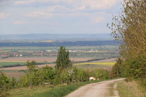 Kirschlauf - Hauptstrecke 2020