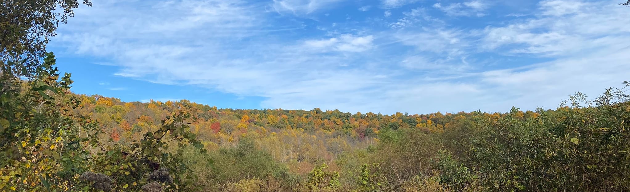 Big Flats Trail, New York 28 Reviews, Map AllTrails