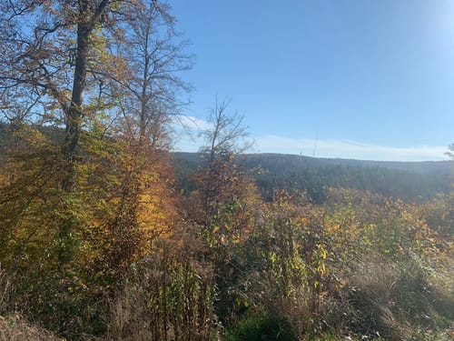 Quack, Totenköpfchen und Ruine Beilstein