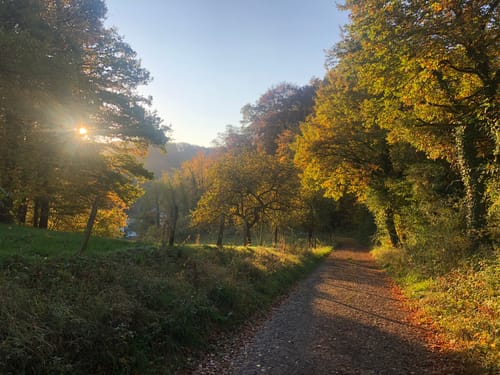 Kleine Römerkanal-Runde