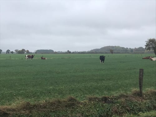 Durch die Felder bei Bad Bramstedt