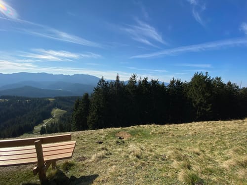 Stallauer Kopf - Zwiesel - Blomberghaus - Heiglkopf