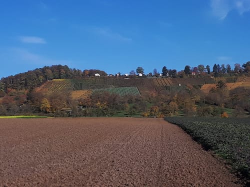 Aspacher Panorama