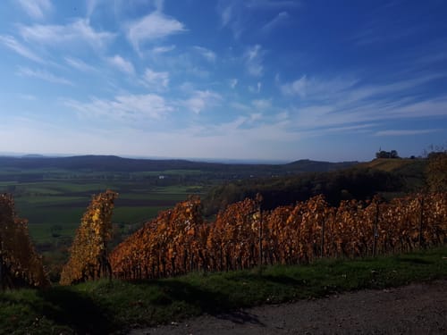Aspacher Panorama