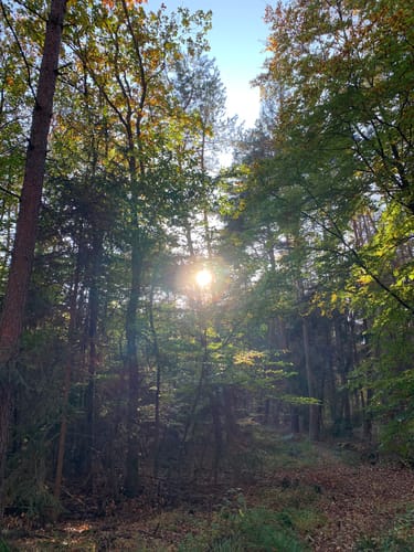 Hoher Berg Rundweg