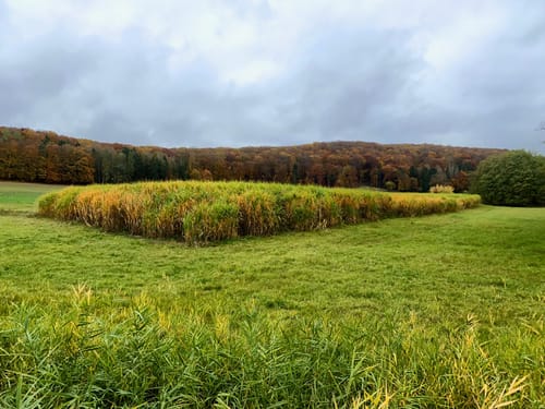 Lahn-Facette Schauinsland-Tour (Premiumwanderweg)