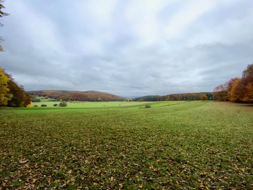 Lahn-Facette Schauinsland-Tour (Premiumwanderweg)