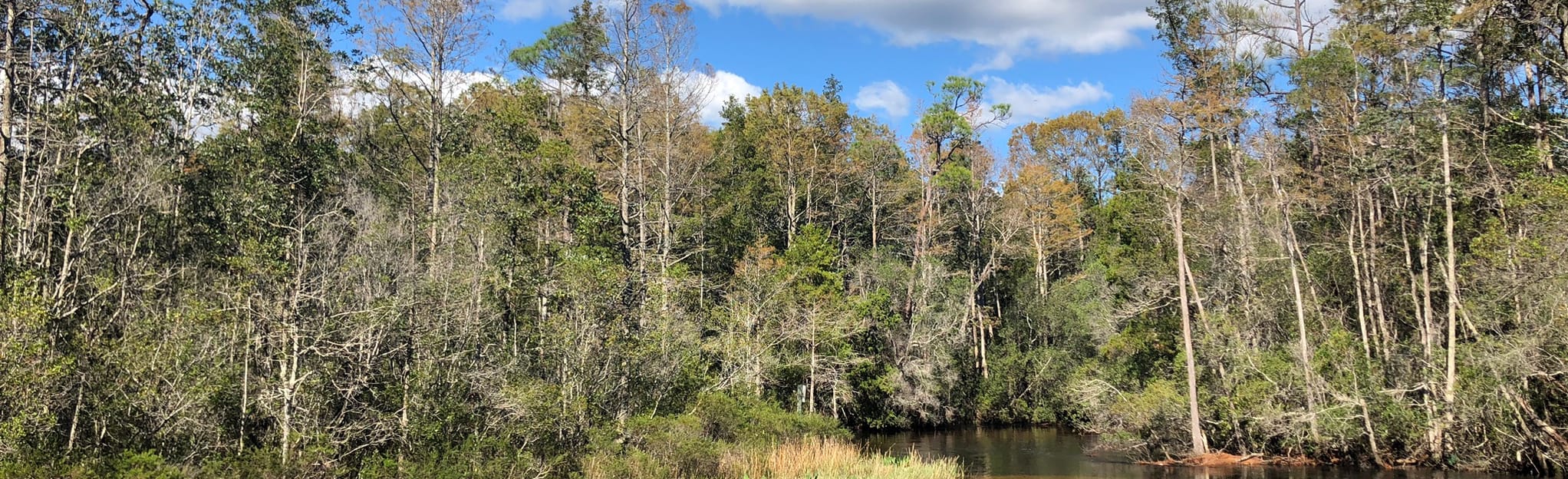 Turkey Creek Nature Trail 267 Reviews, Map Florida AllTrails