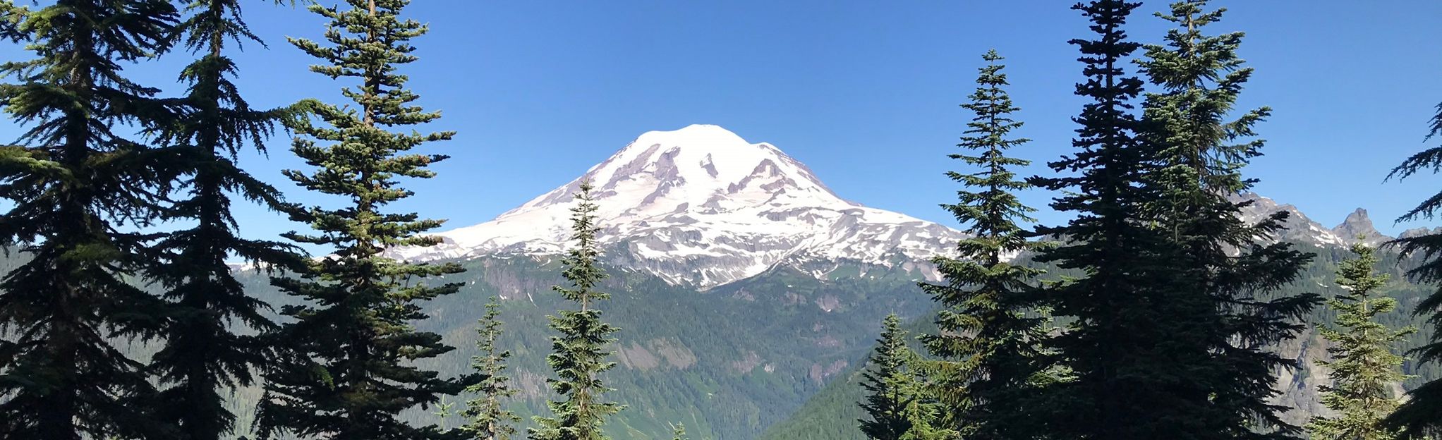 Shriner Peak Lookout Trail: 516 Reviews, Map - Washington | AllTrails