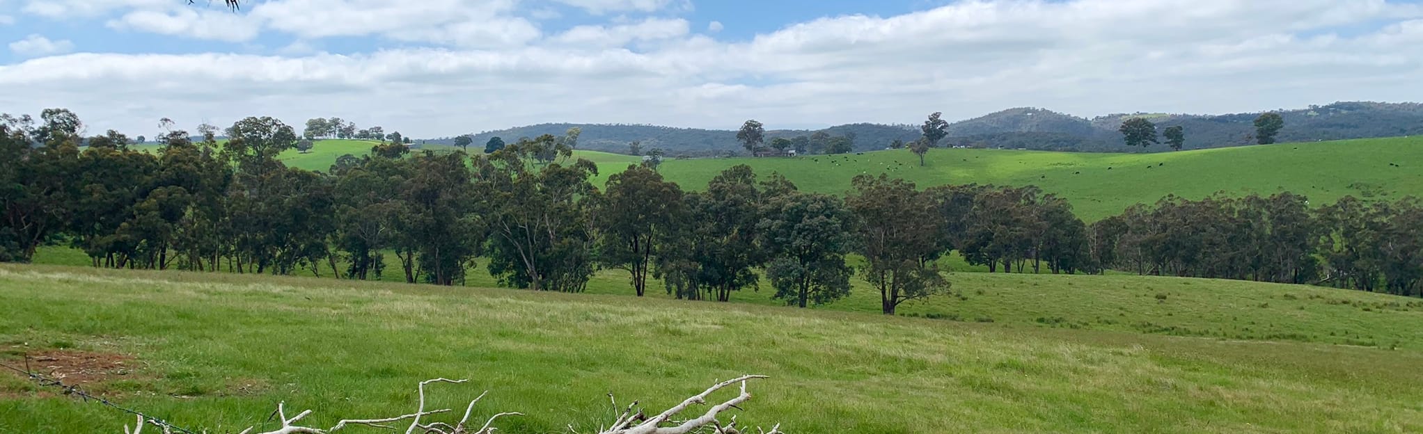 Roberts Track, Victoria, Australia 26 Reviews,