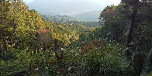 Fukuoka visual data 2