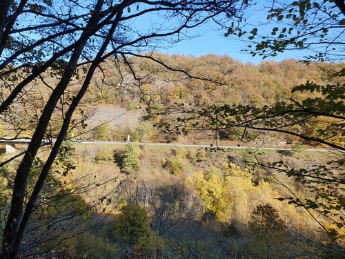 Gräfin-Loretta-Weg (Traumschleife)