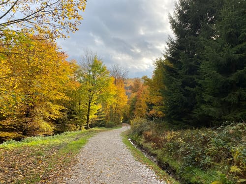 Wanderung zum Schnapsplatz