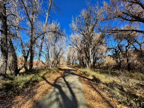 Best Hikes and Trails in Challenger Regional Park | AllTrails