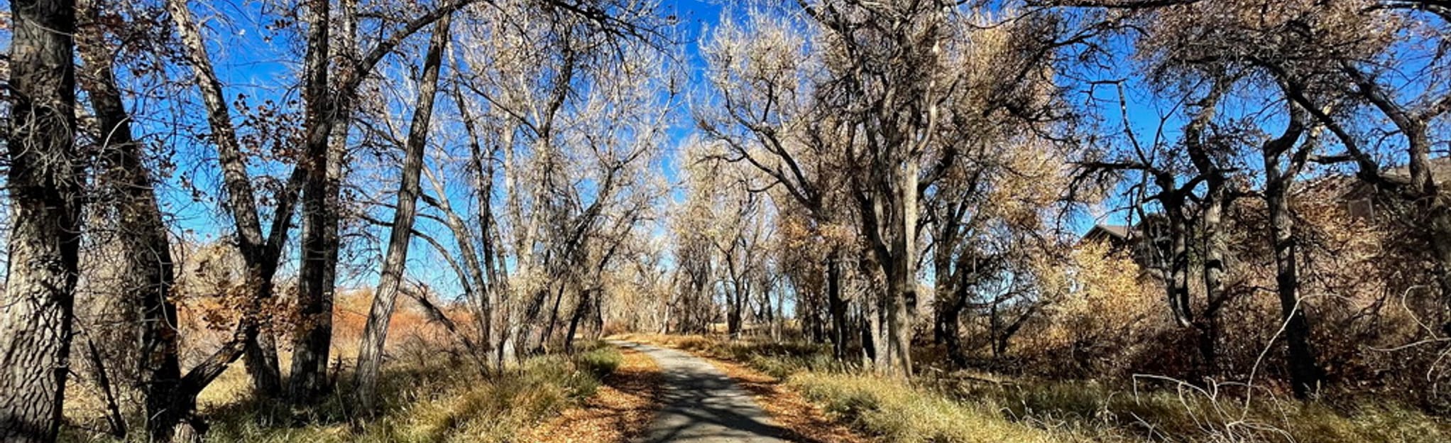 Cherry Creek Trail Cottonwood to Salisbury Park 301 Reviews, Map