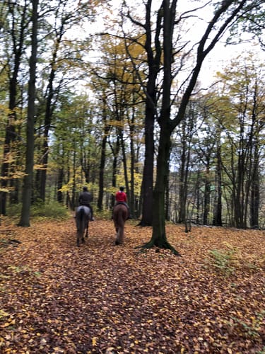 Frankenberg - Zschopautalhänge bei Lichtenwalde