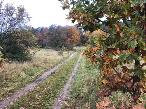Prädikow - Herzhorn - Ihlow