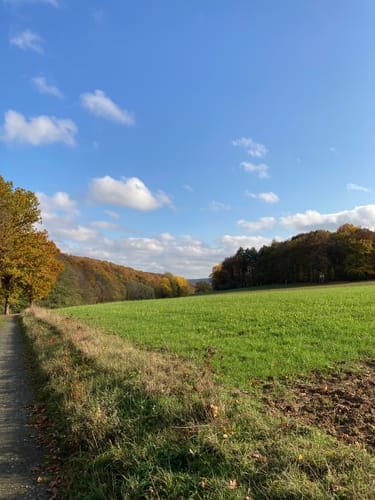Lahn-Facette Schauinsland-Tour (Premiumwanderweg)