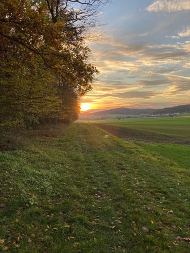 Lahn-Facette Schauinsland-Tour (Premiumwanderweg)