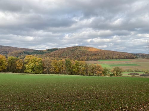 Lahn-Facette Schauinsland-Tour (Premiumwanderweg)