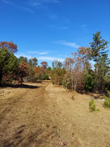 Best Hikes And Trails In Black River State Forest Alltrails