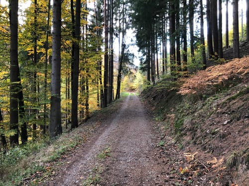 Brandberg Rundweg
