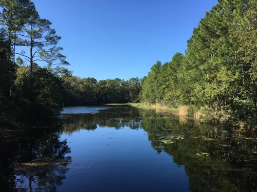 Beacon Hills Walking And Running Trail - Jacksonville, Florida, USA