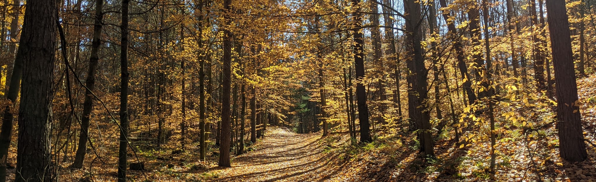 Spruce Loop Map, Guide Ontario, Canada AllTrails